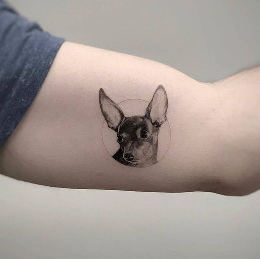 Tatuagem Pet Pinscher