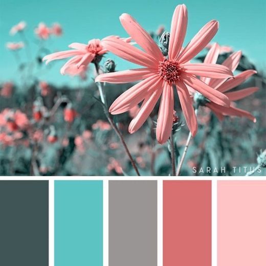 Summer Color Palettes