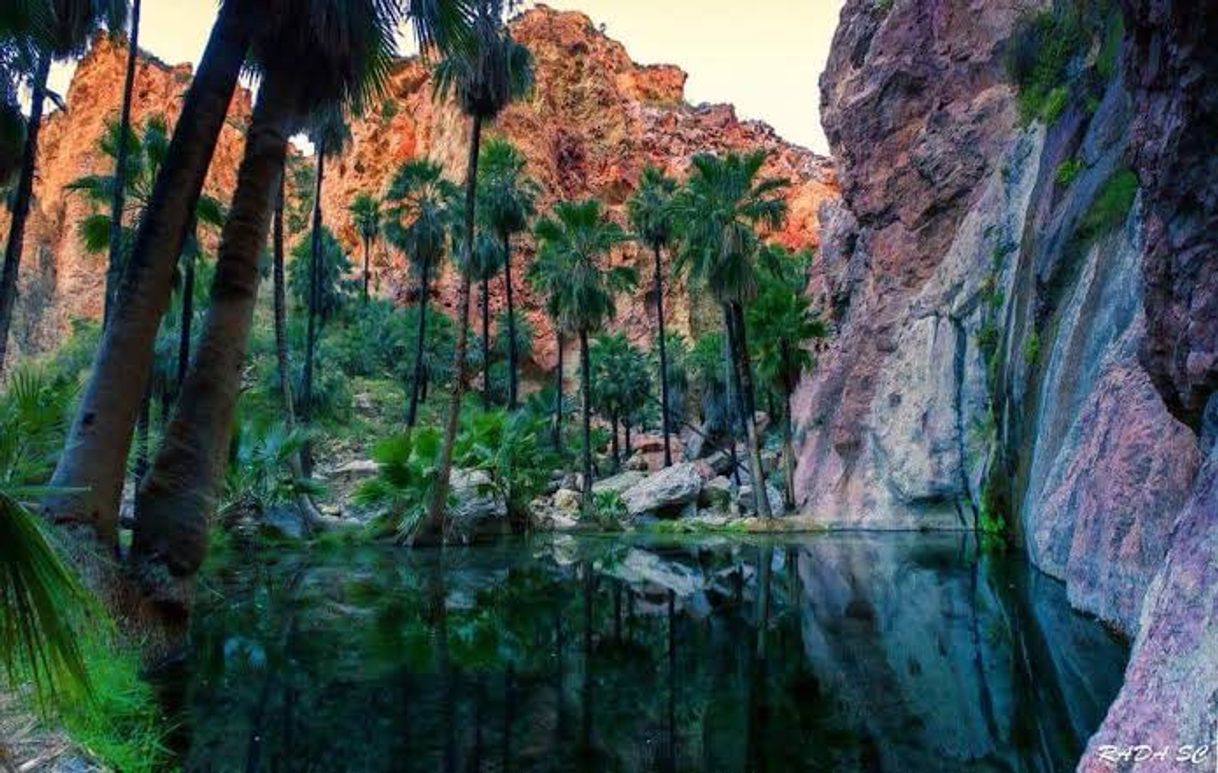 Place Al Cañón del Nacapule