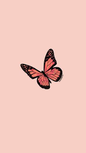 Wallpaper butterfly