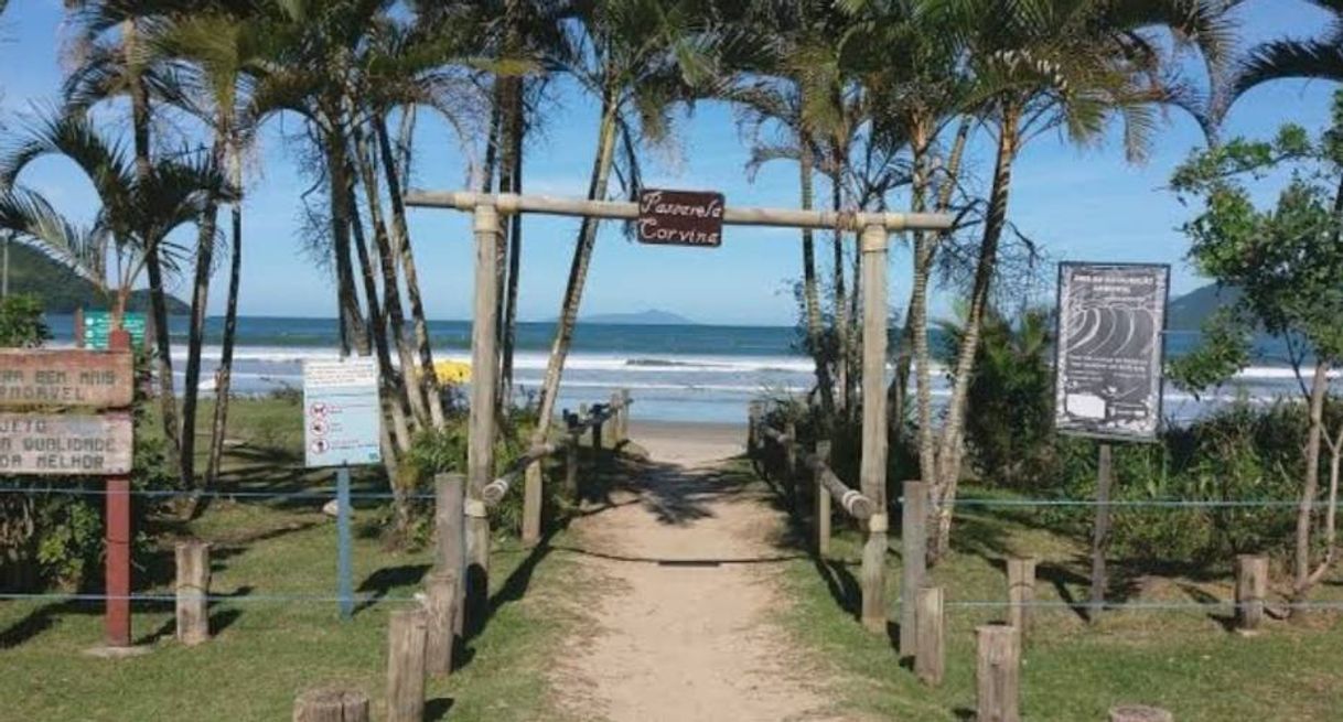 Social Praia da Lagoinha 🏖️