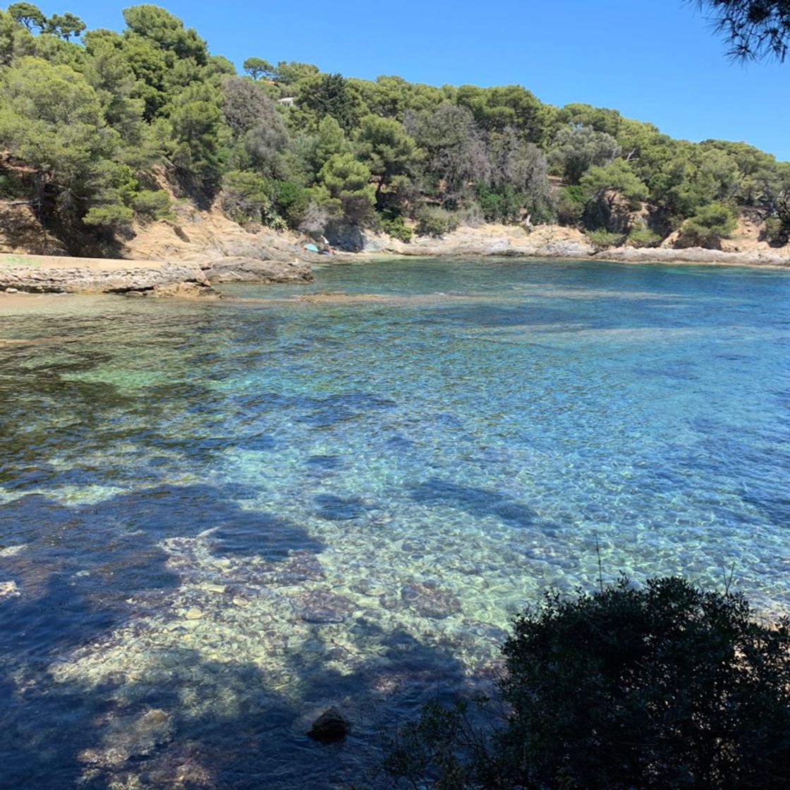 Place Porquerolles