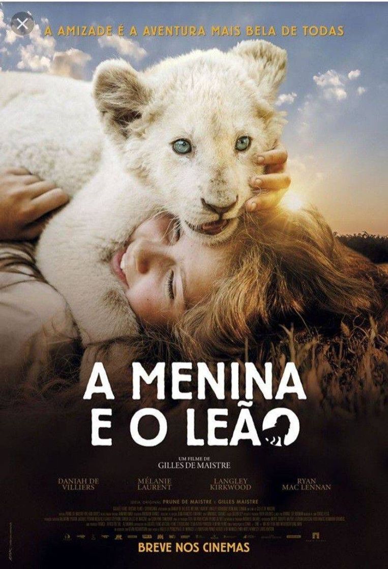 Película A Menina e o Leão