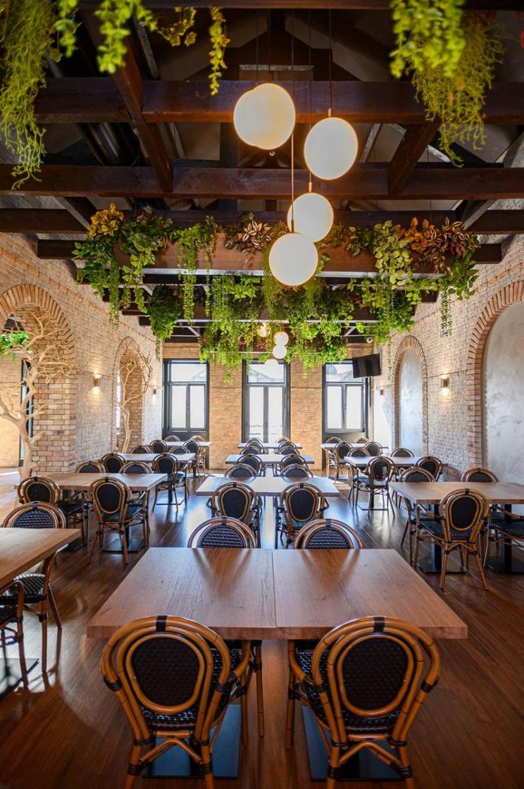 Restaurants Brasaria Carvalhido