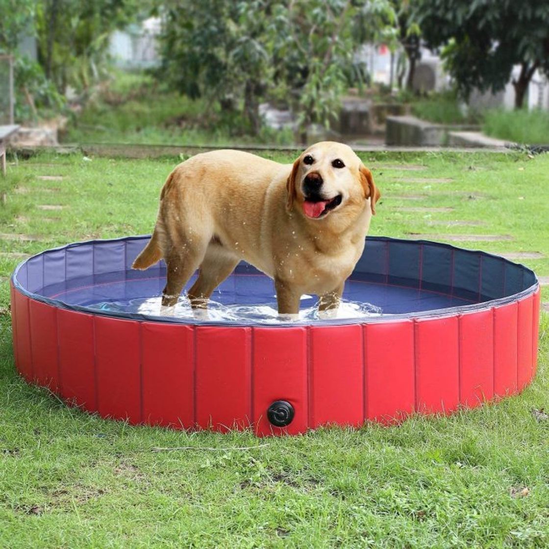 Product YAOBLUESEA Piscina para Perros, 160x30 CM Piscina para Perros Bañera Plegable para