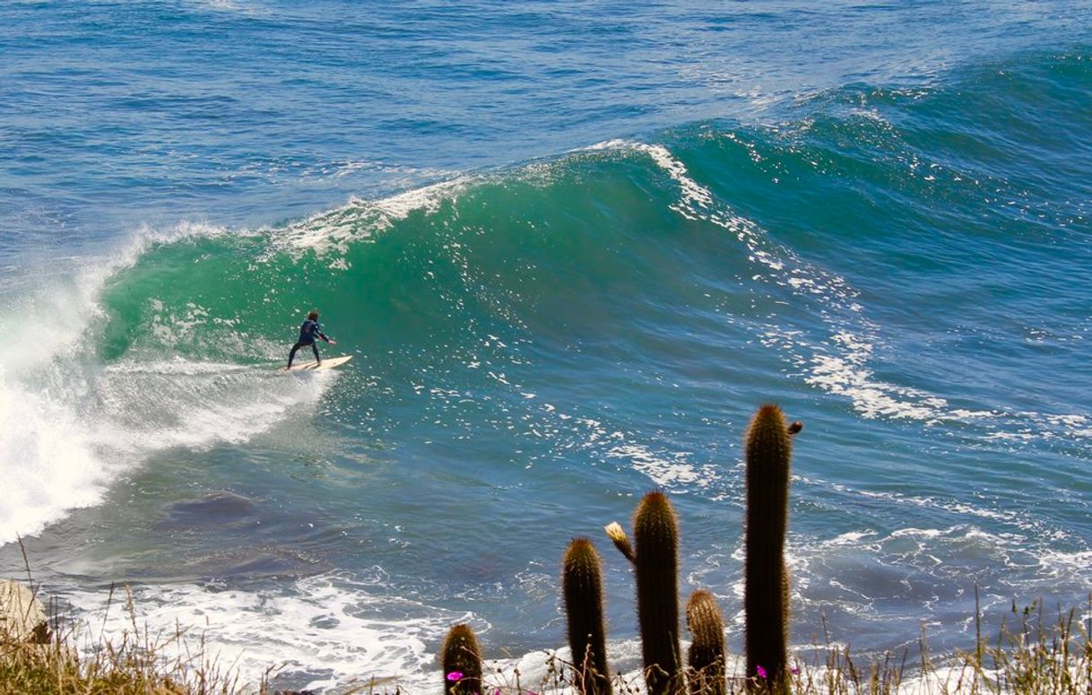 Lugar Pichilemu