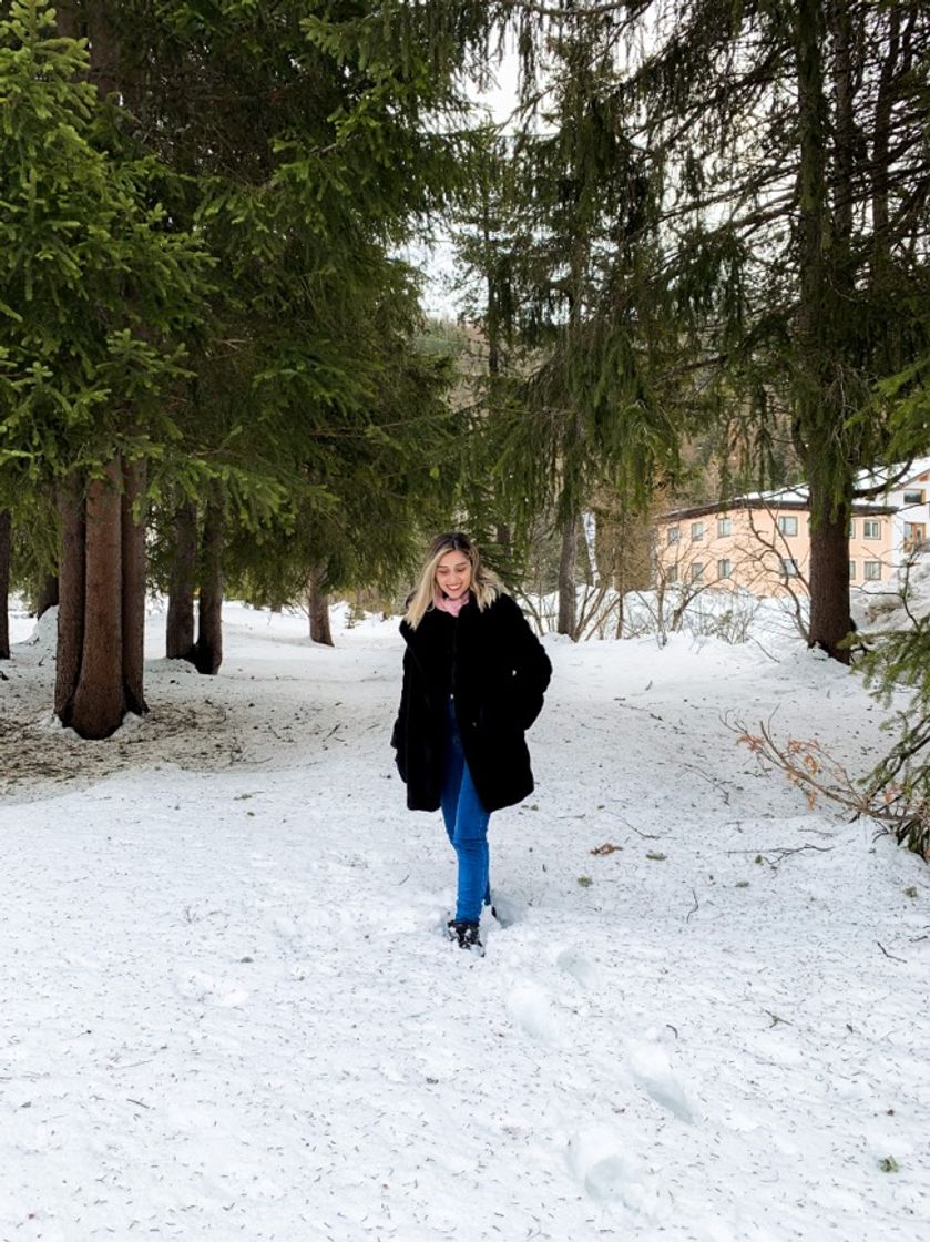 Fashion Inspirações de fotos na neve.