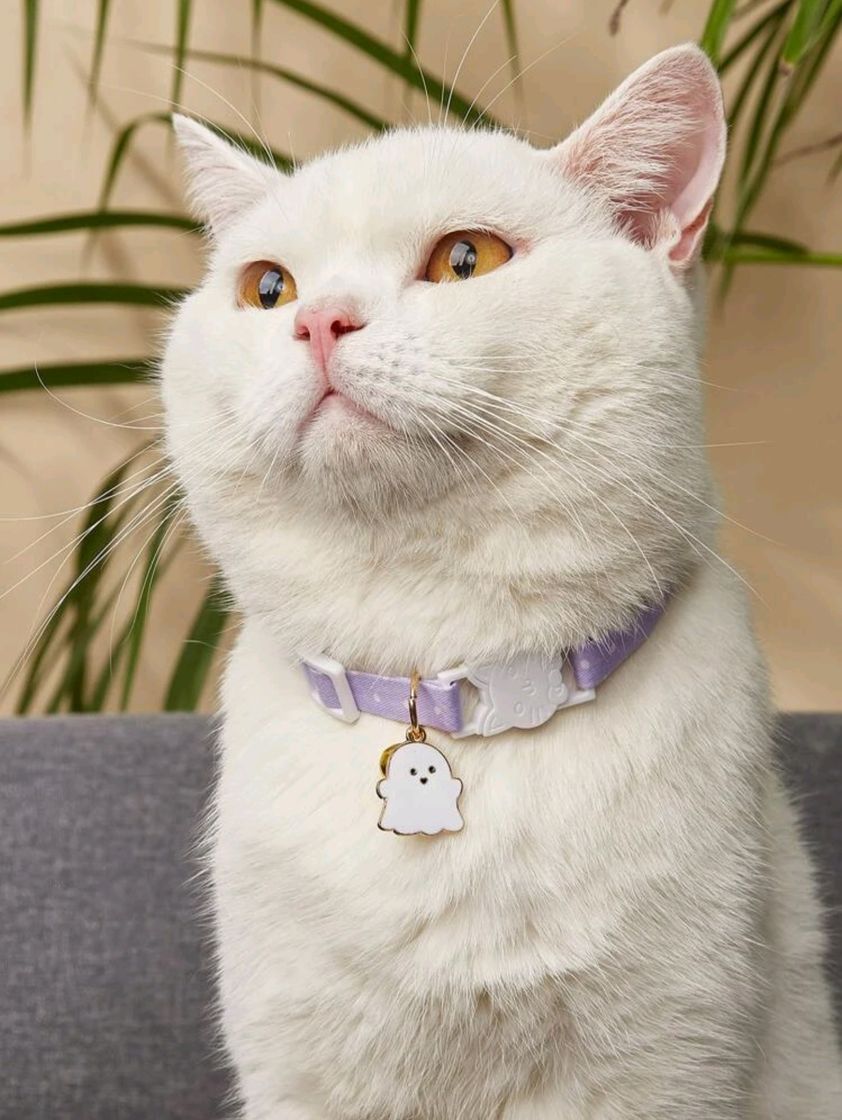 Fashion Collar de Lunares Púrpura Malva con chapa de Fantasma y Hebilla con Opertura de seguridad y con forma de Gatito (Quita el cascabel y añadir el colgante de identificación)