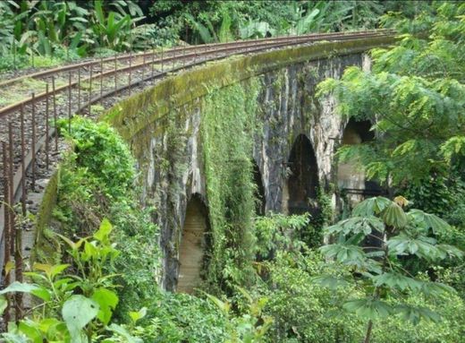 Trilha das ferrovia de Lidice  a Angra dos Reis.