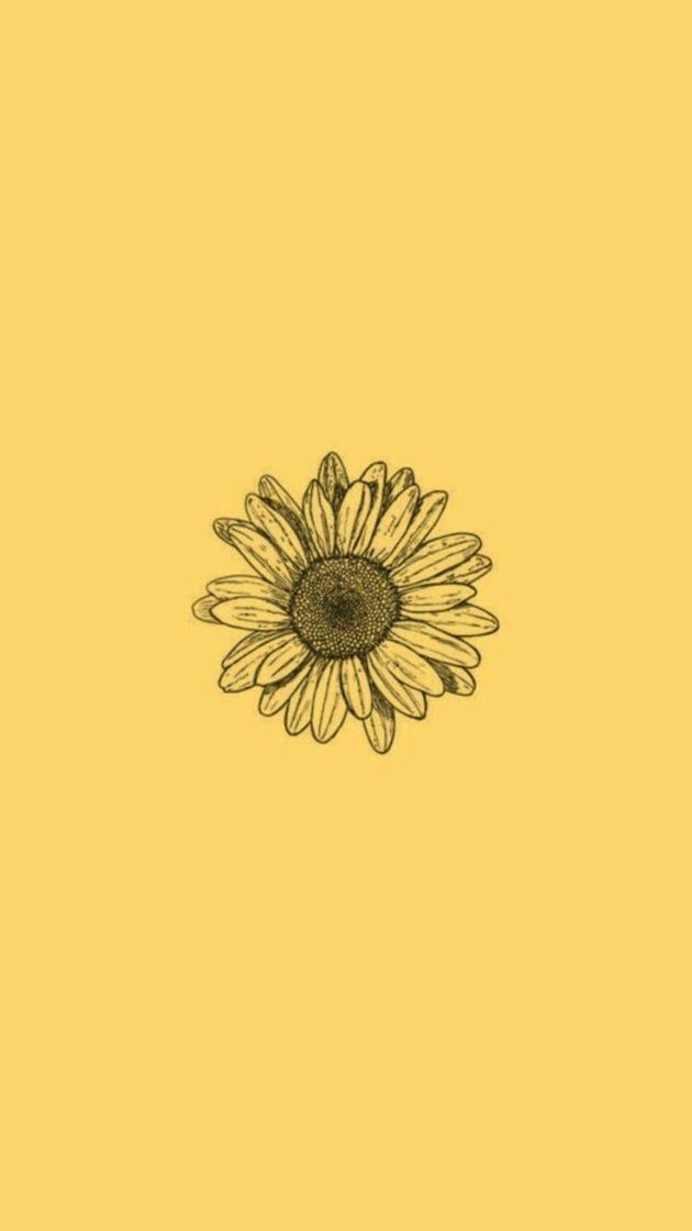Social Wallpaper girassol