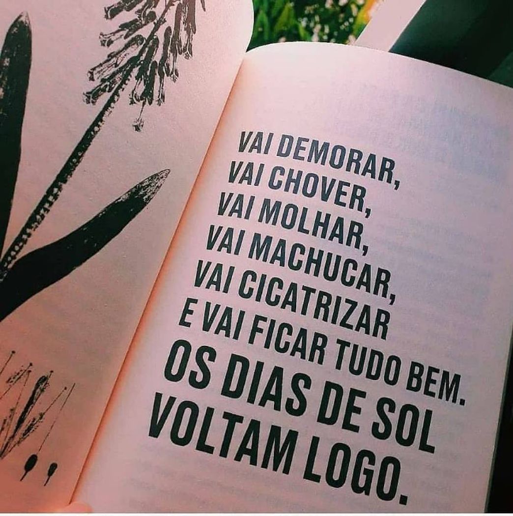 Moda Bom dia!