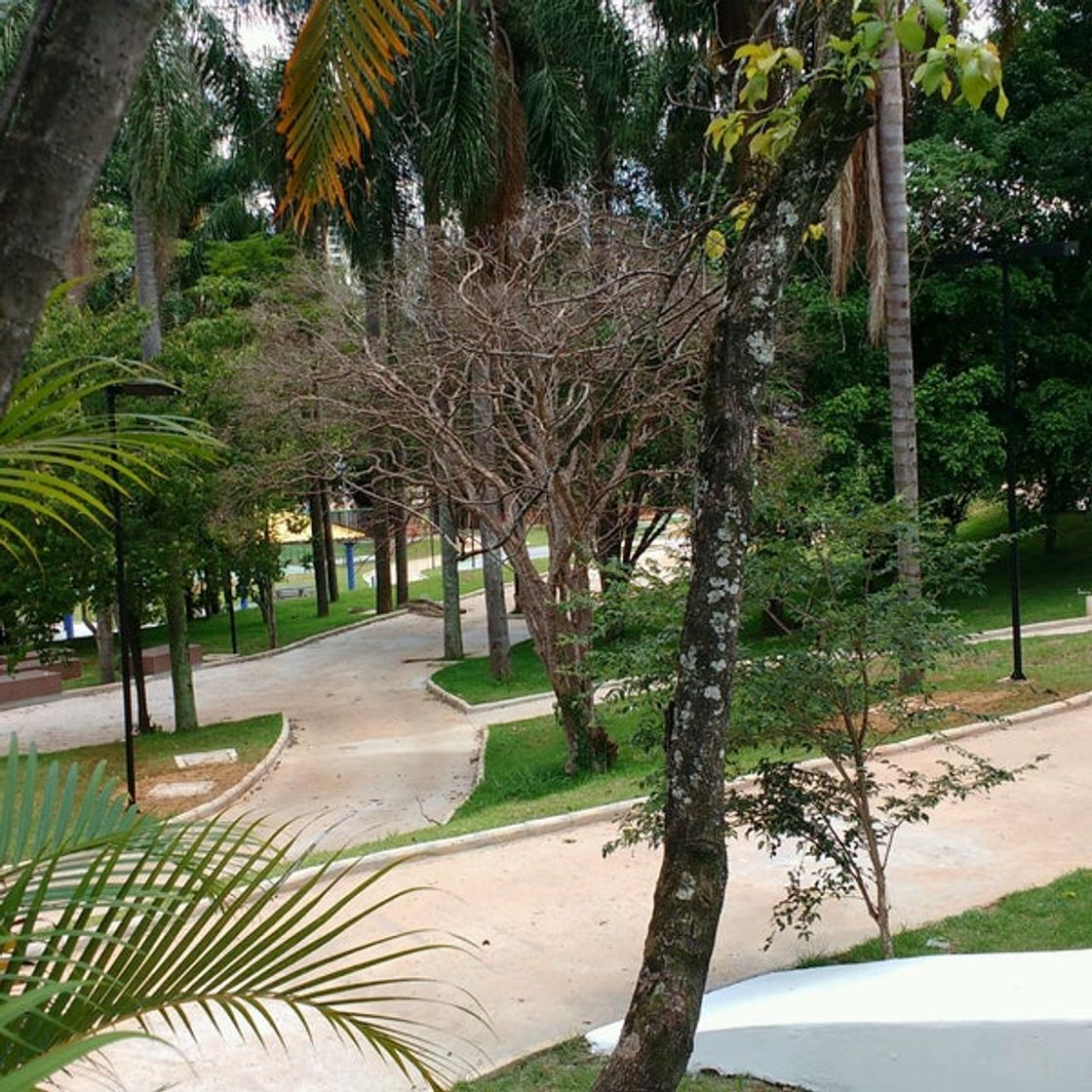 Lugares Parque do Chuvisco