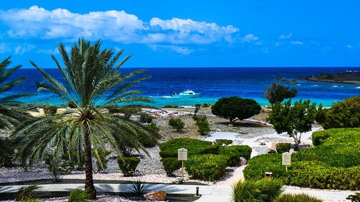 Place Tofo Beach