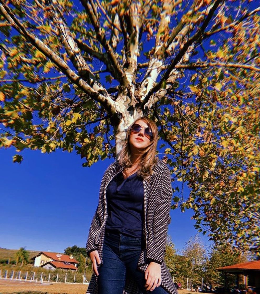 Lugar Adega Dom Camilo