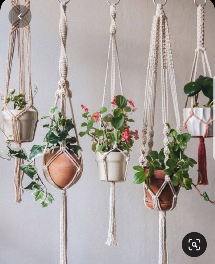 Moda Vaso de plantas 