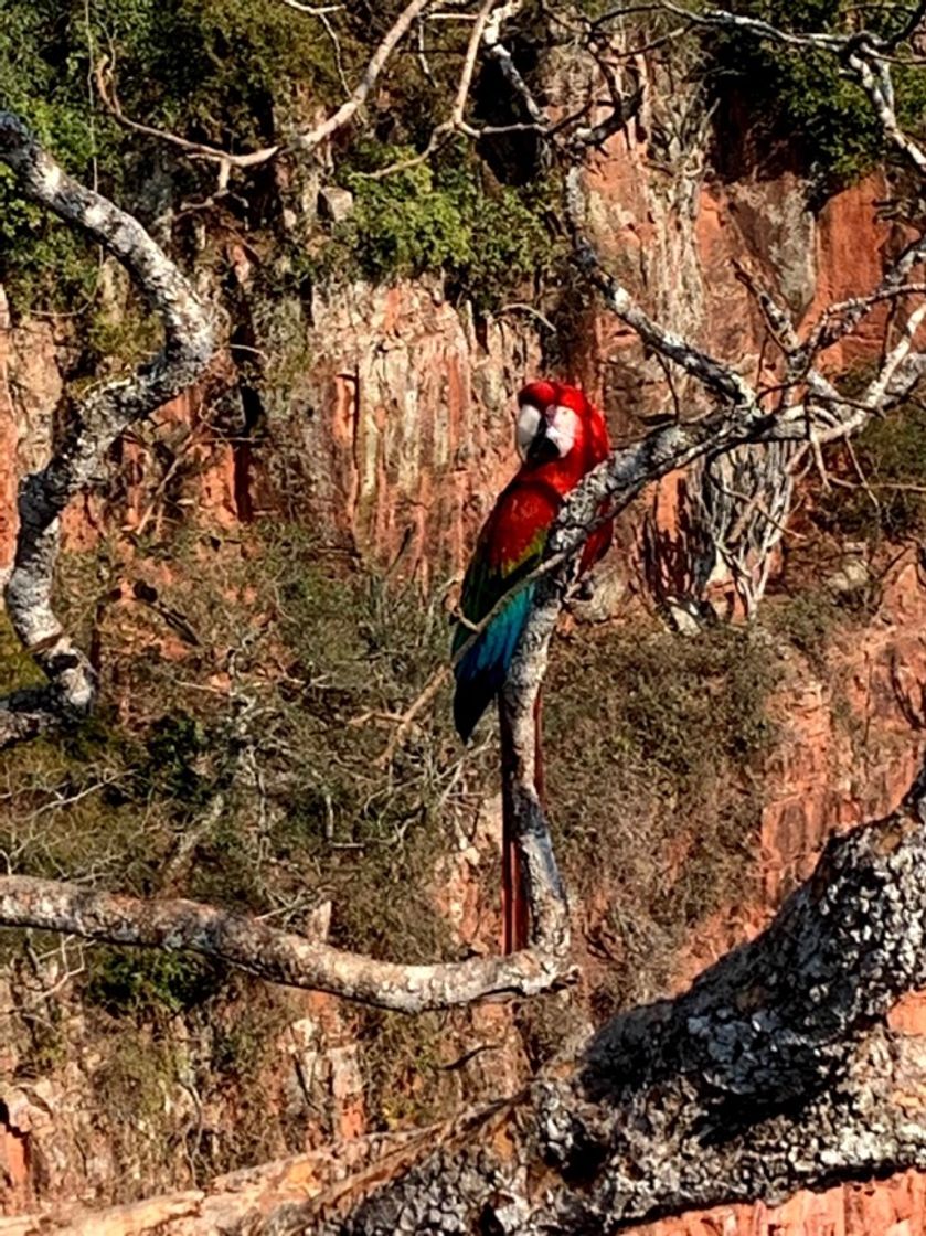 Lugar Buraco das Araras