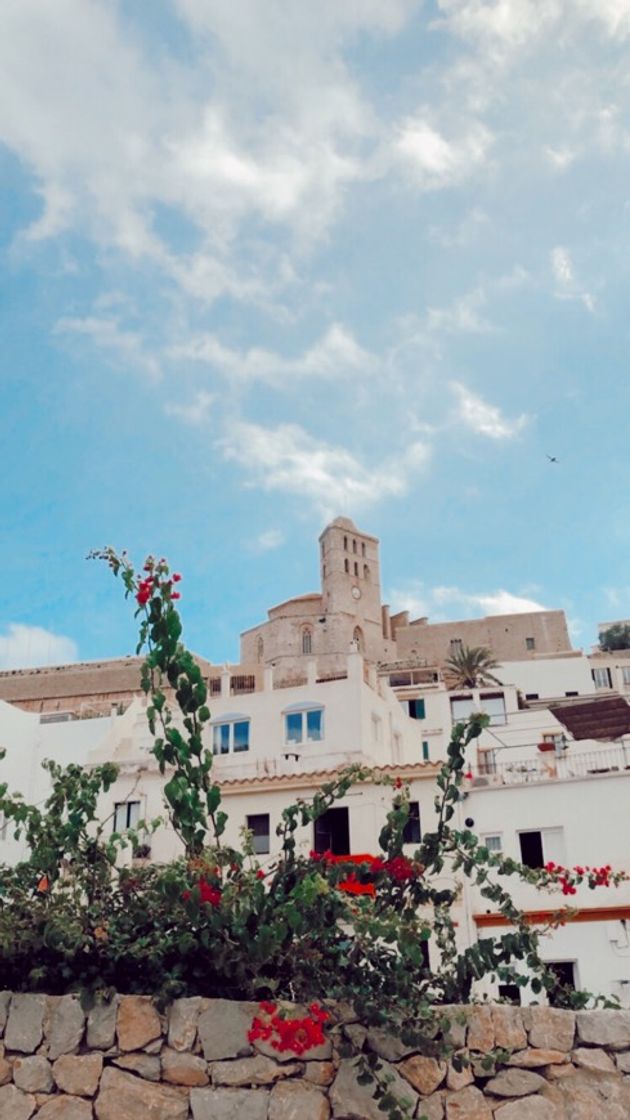 Place Dalt Vila