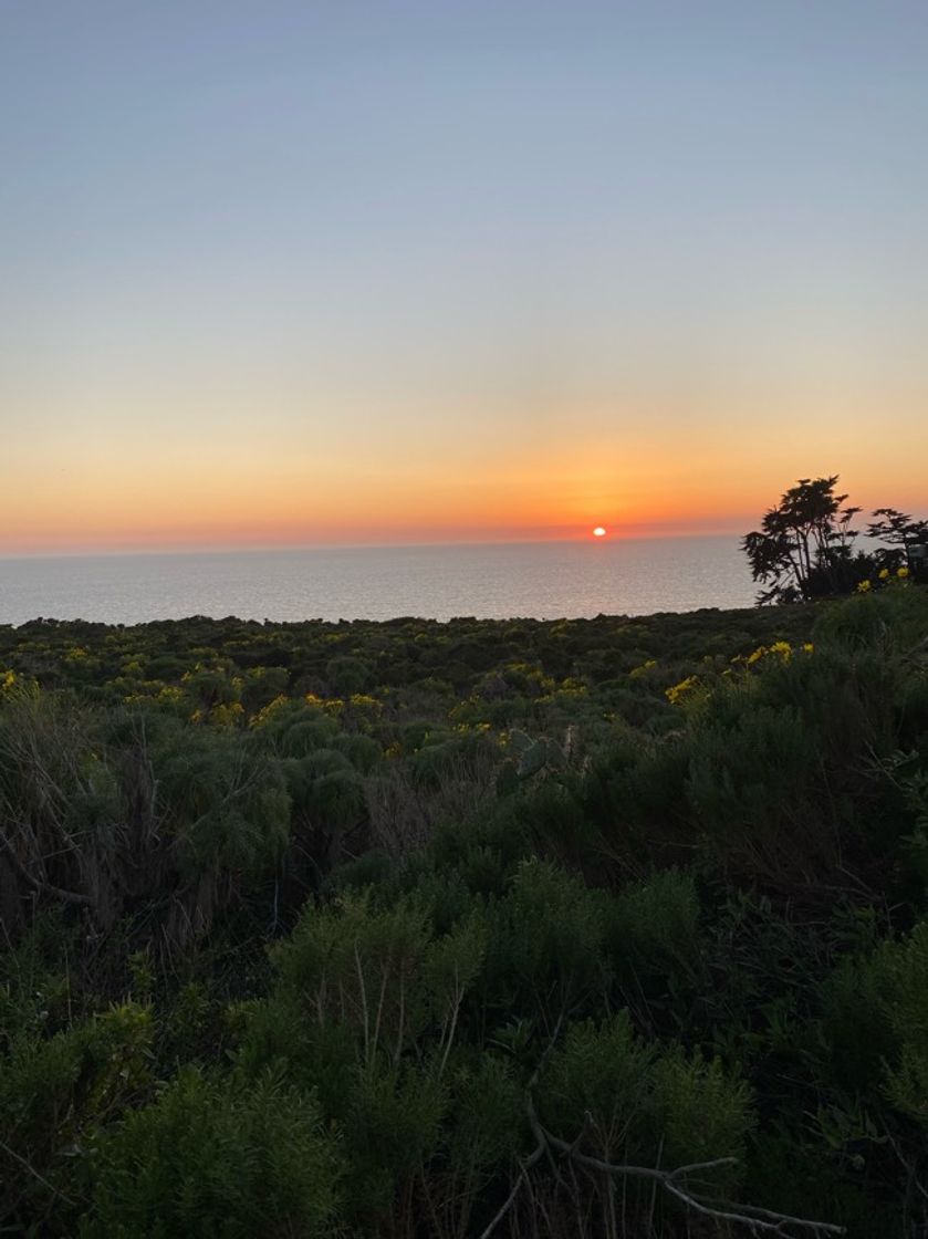 Lugar Point Dume