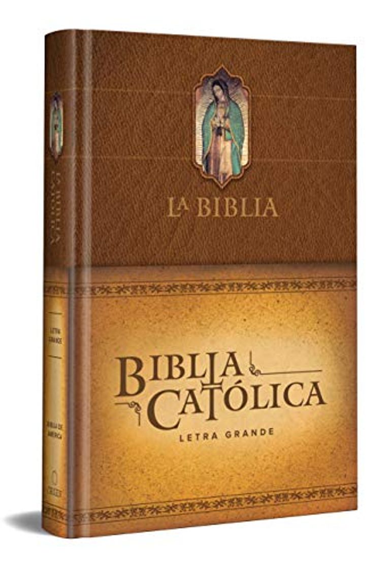 Book La Biblia Católica: Edición Letra Grande. Tapa Dura, Marron, Con Virgen de