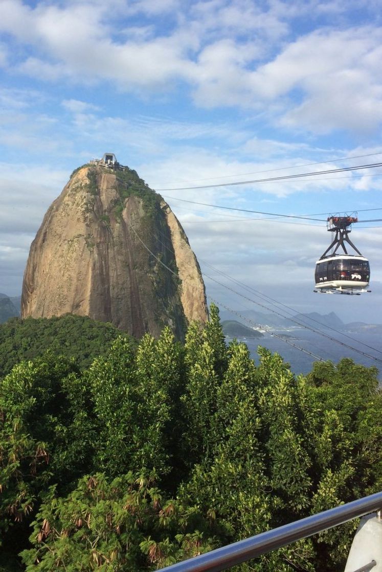 Fashion  pão de açúcar Rio de janeiro 😍