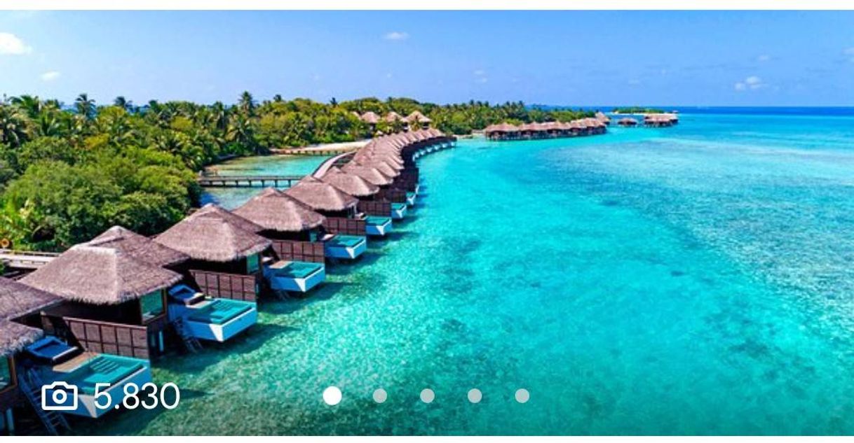 Social SHERATON MALDIVES FULL MOON RESORT & SPA - TripAdvisor