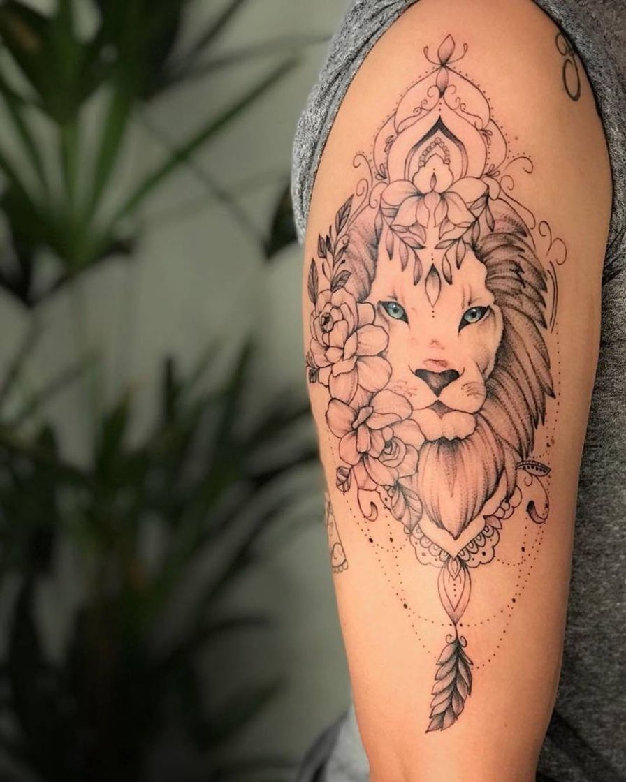 Social 🦁🦁