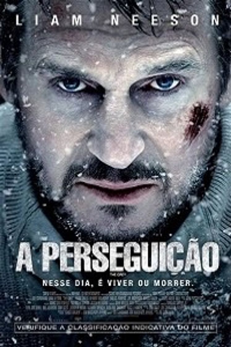 Movies A perseguição 