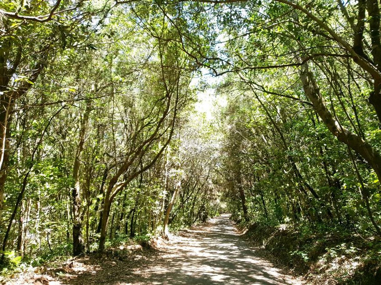 Lugar Agua García