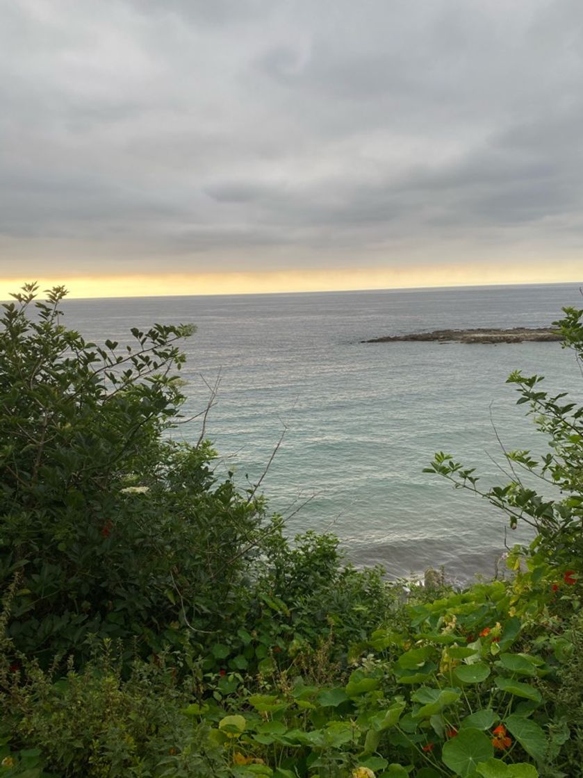 Lugar Playa de Amio