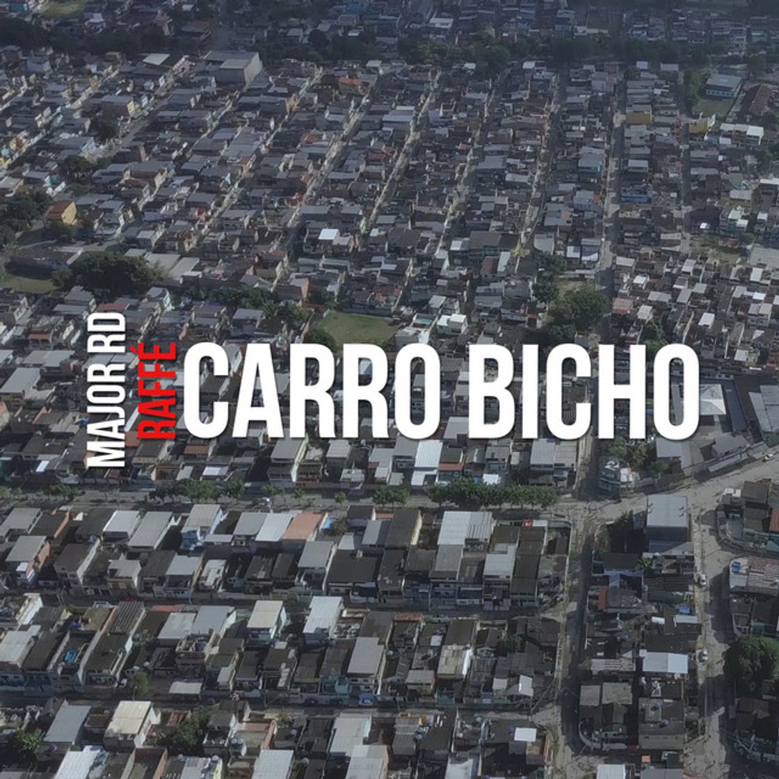 Canción Carro Bicho