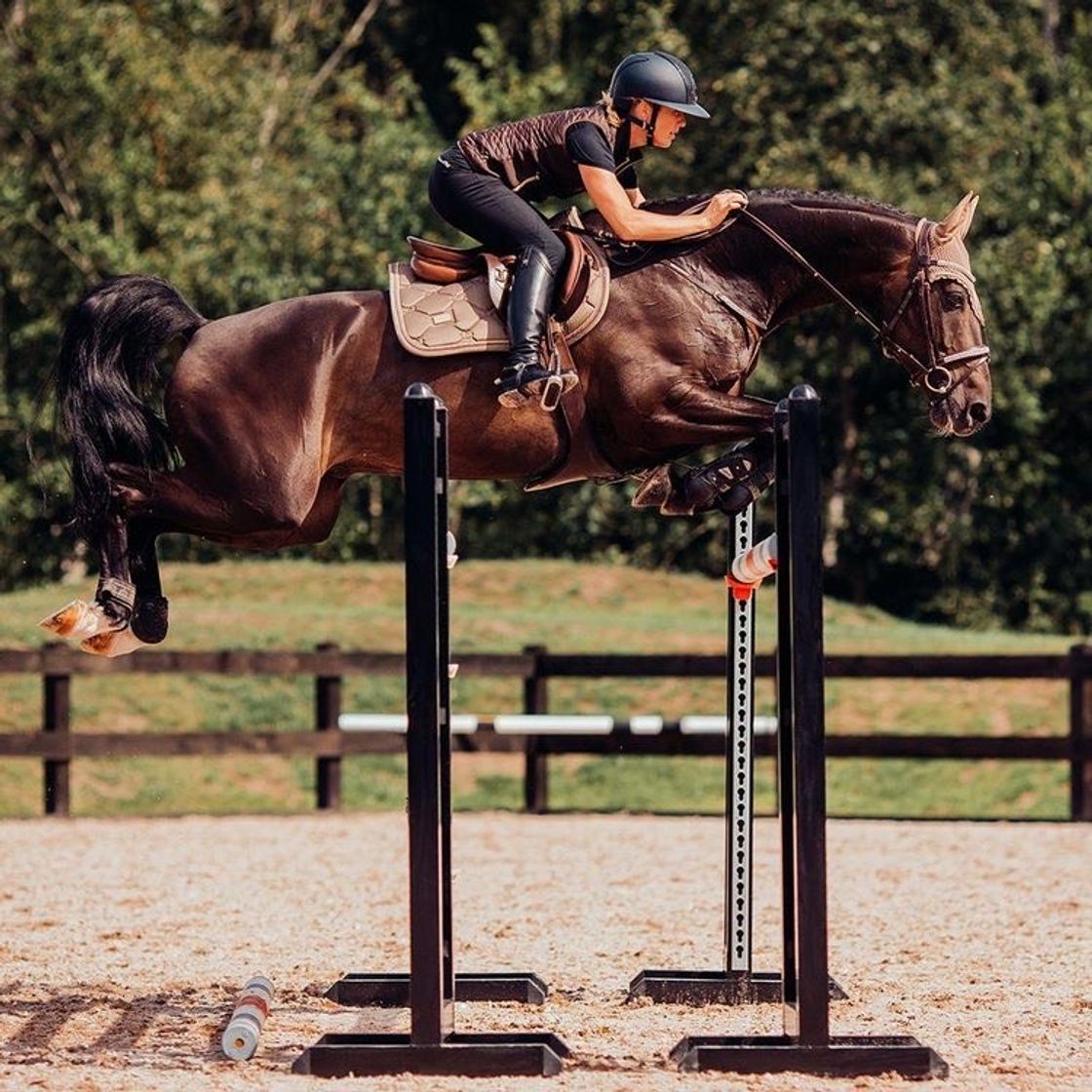 Social Hipismo ( cavalo pulando salto )