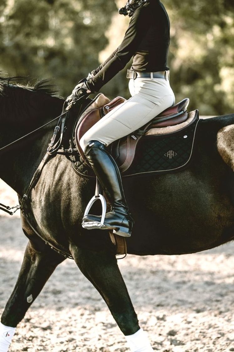 Social Foto para te inspirar ao hipismo 