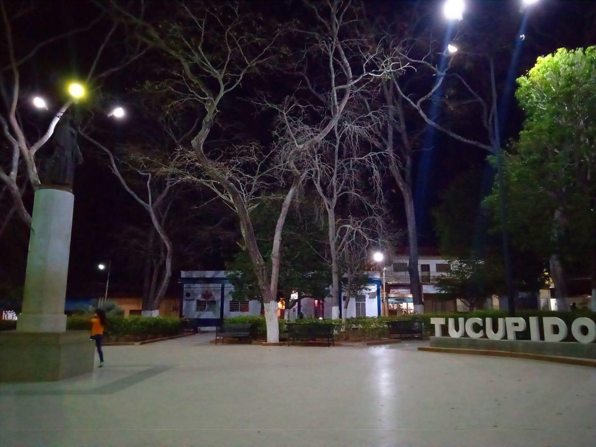 Place Tucupido