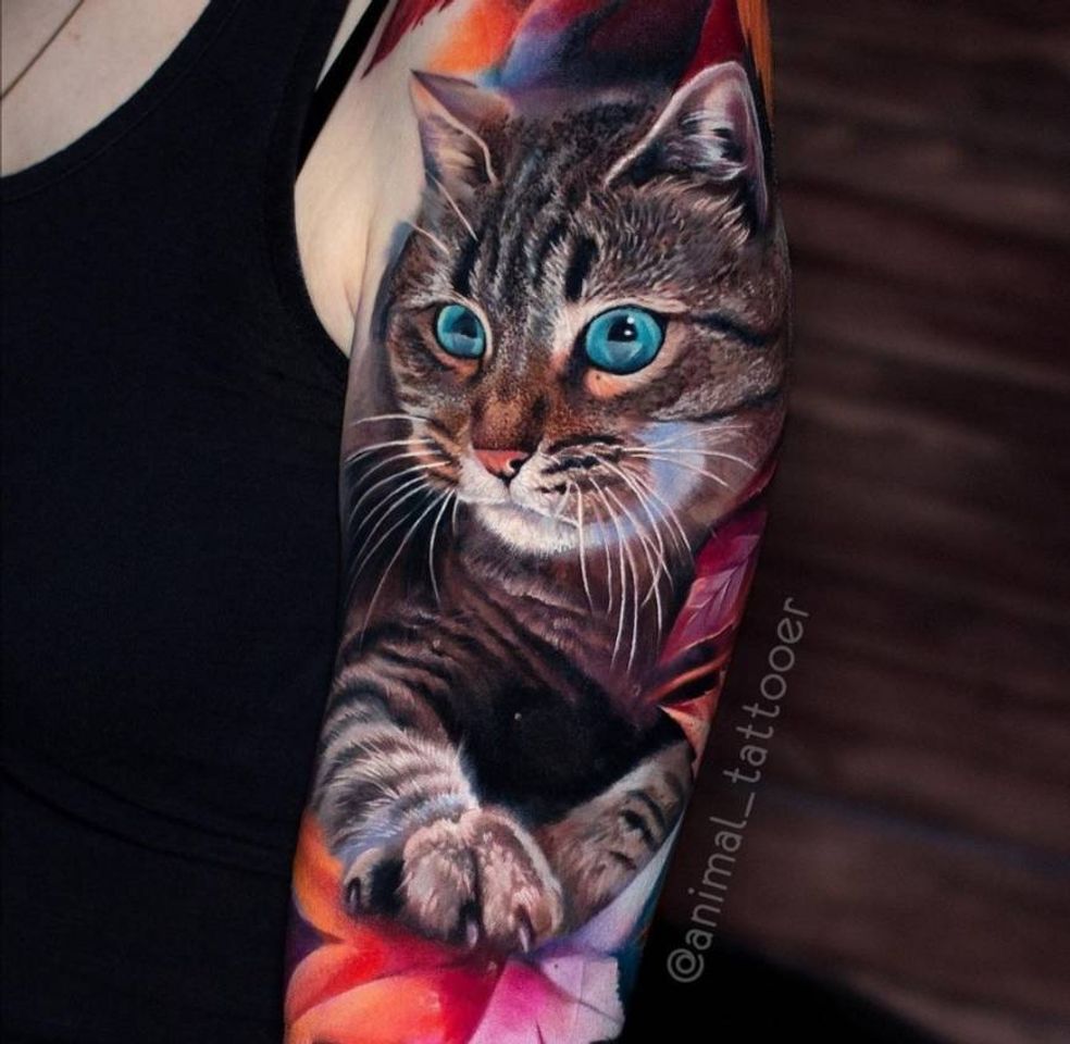 Fashion Tatuagem gato