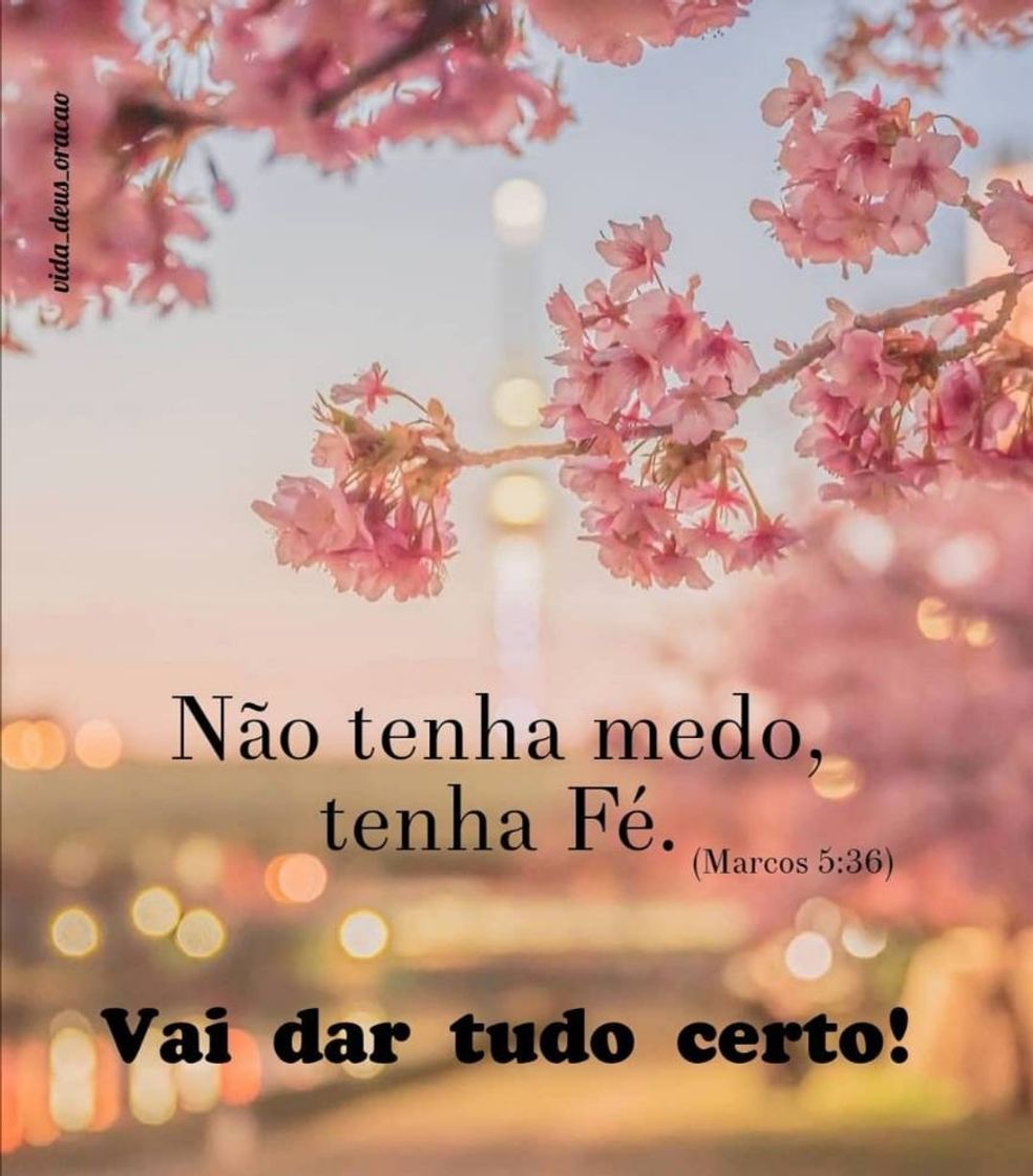 Moda Motivação 