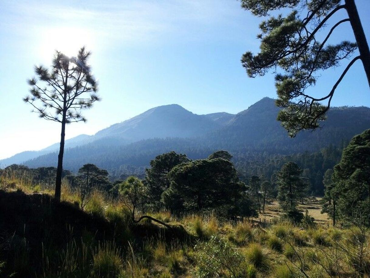 Place Ajusco