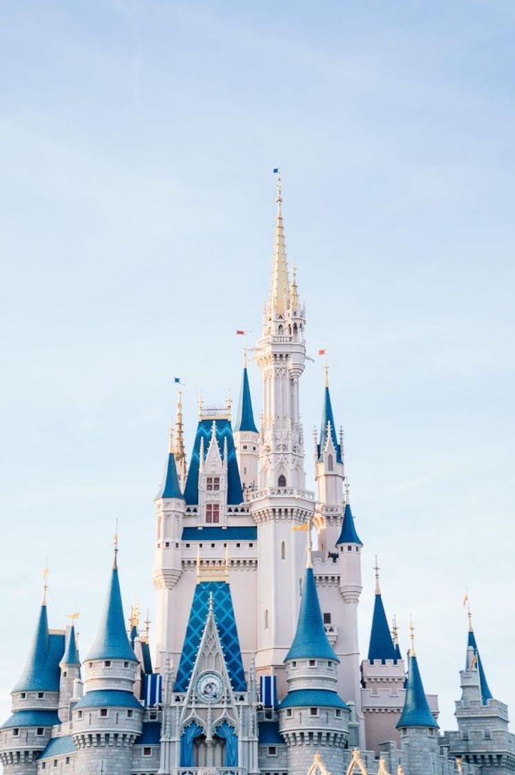 Place Magic Kingdom