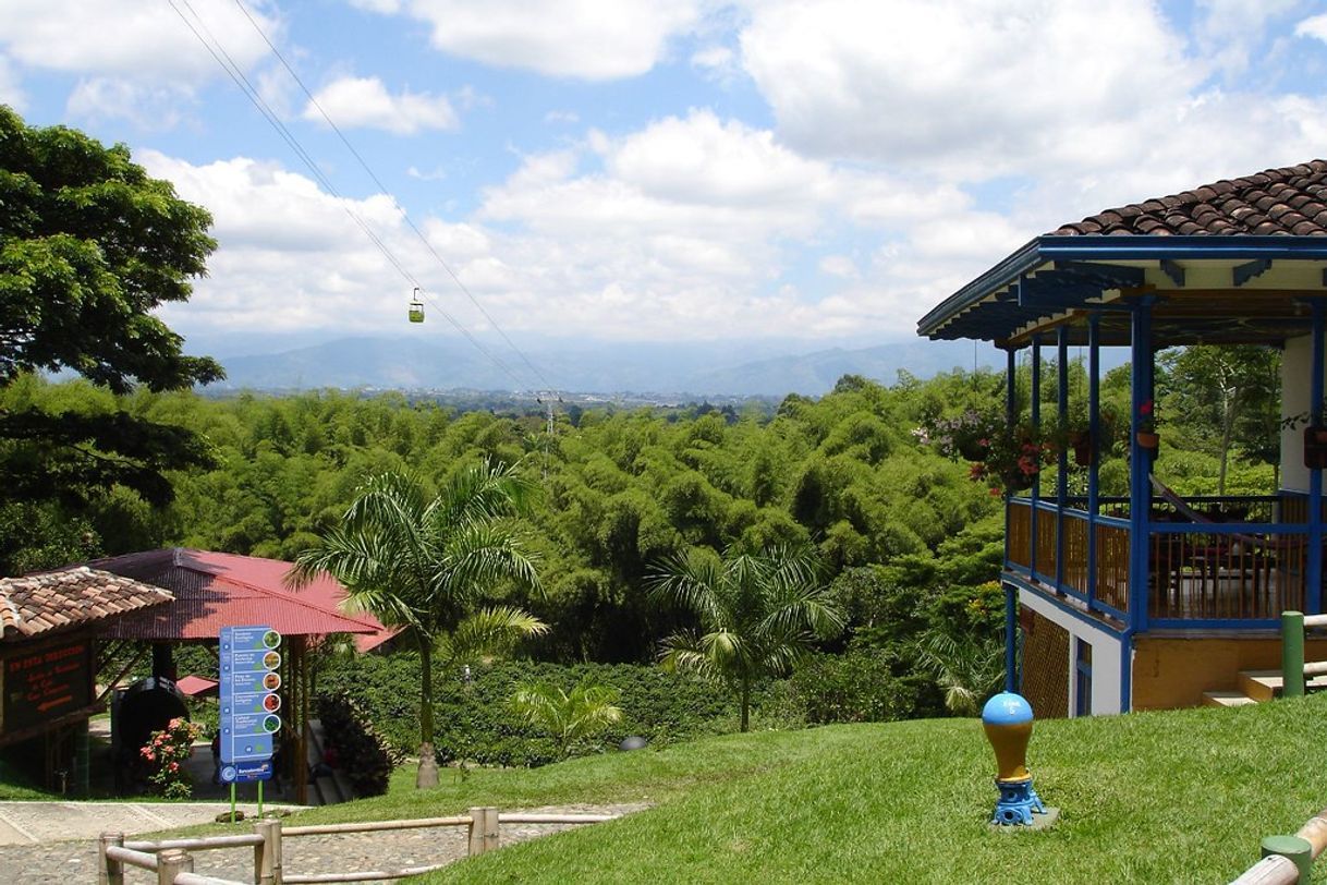 Place Parque del Cafe