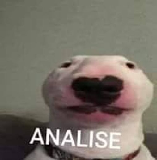 A N A L I S E