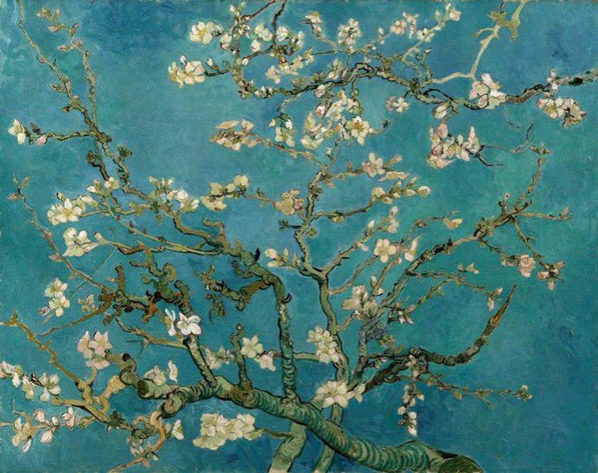 Moda Amendoeira em flor - Vincent Van Gogh