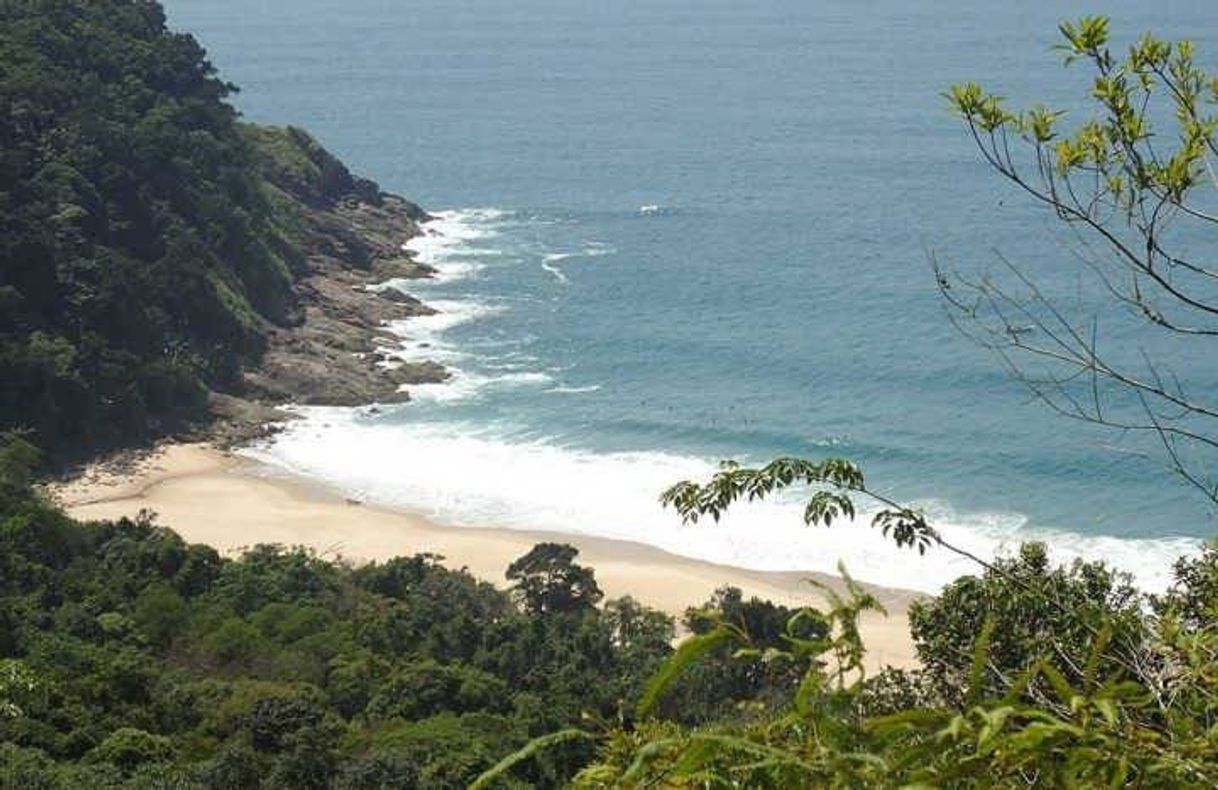 Lugares Praia Brava