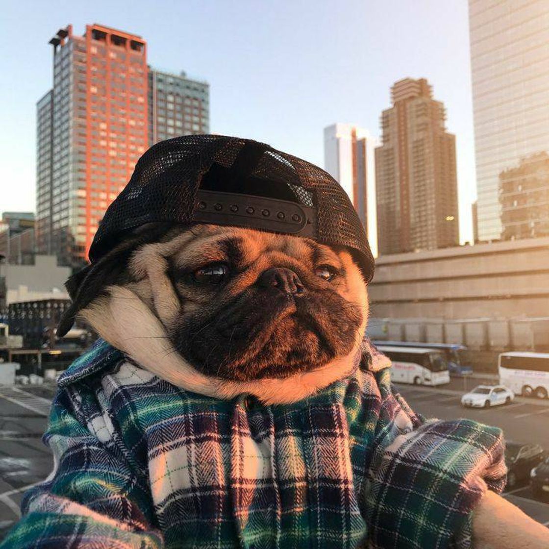 Social 𝘚𝘵𝘺𝘭𝘦 😎🔥🔥