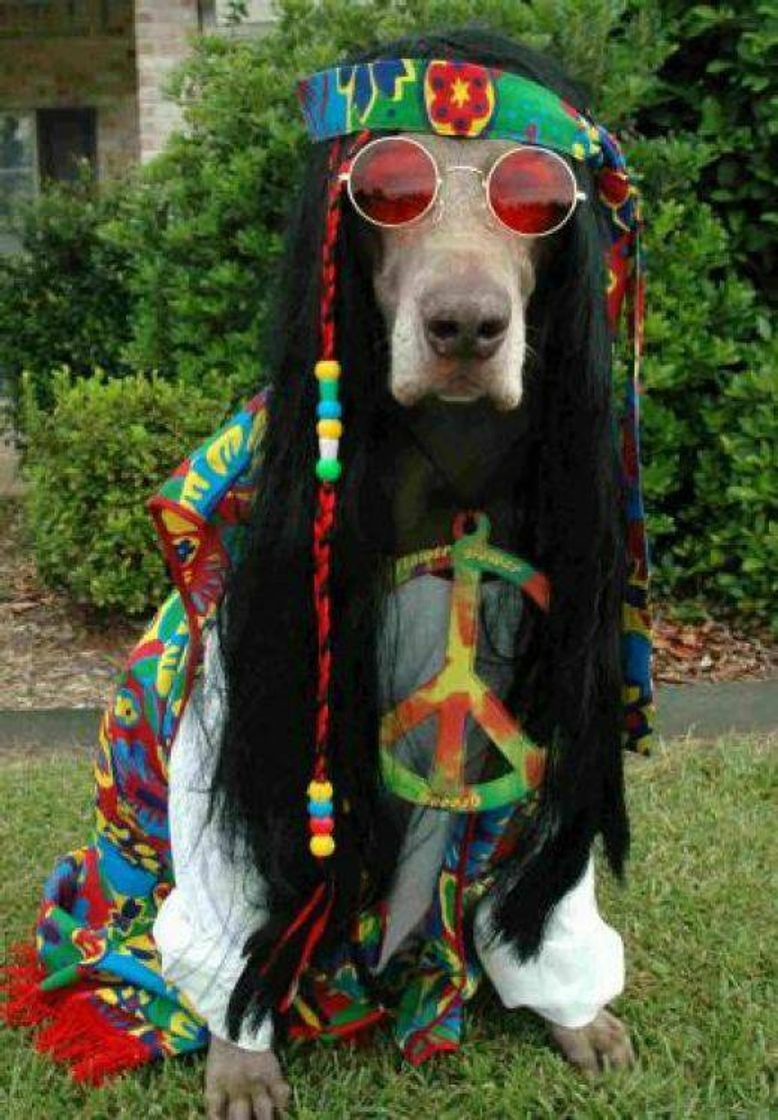 Social 𝘗𝘦𝘢𝘤𝘦 ✌️☮