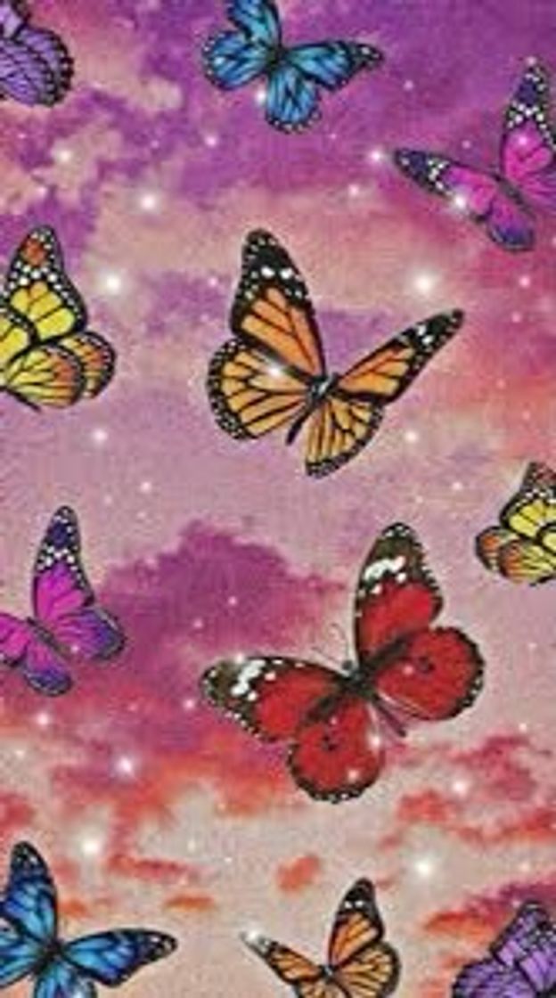 Social Wallpaper de borboletas coloridas 🥰