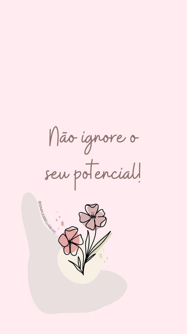 Social Frase do dia