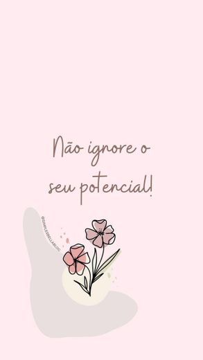 Frase do dia