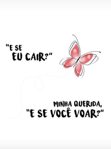 Frase do Dia