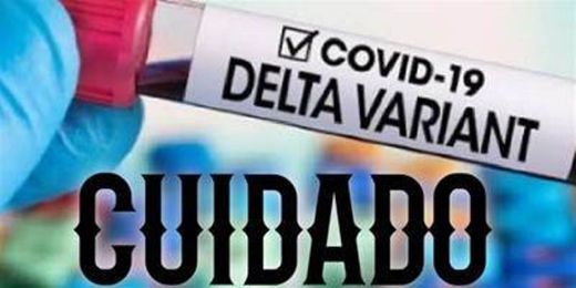 Variante Delta Plus da Covid-19 pode se tornar dominante 