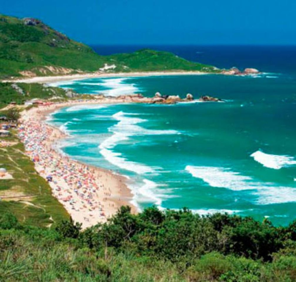 Place Praia Mole