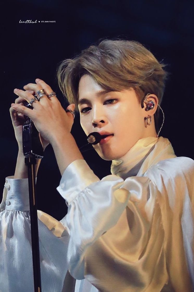 Moda Jimin concert